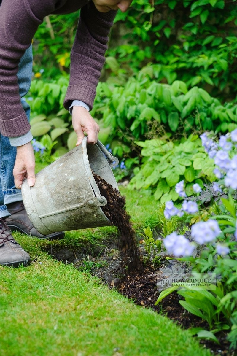 Woman mulching plants in a border with garden compost