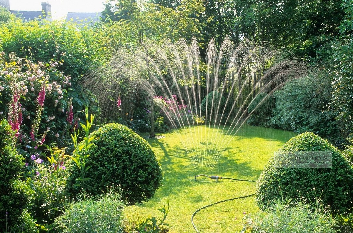 Sprinkler watering lawn of small town garden, June