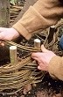 weaving willow stems around hazel uprights to form a turf seat 